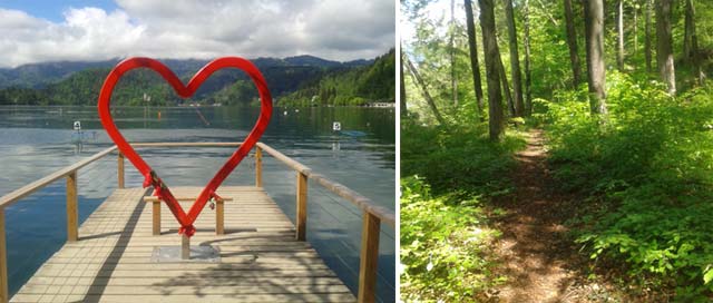 kissing-point-potke-bled