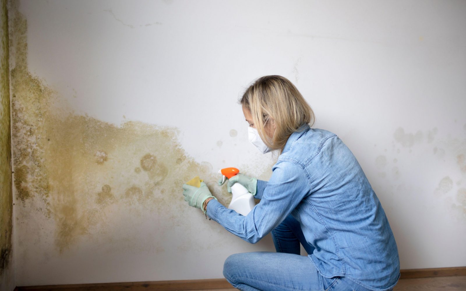 Ženska odstranjuje plesen iz stene