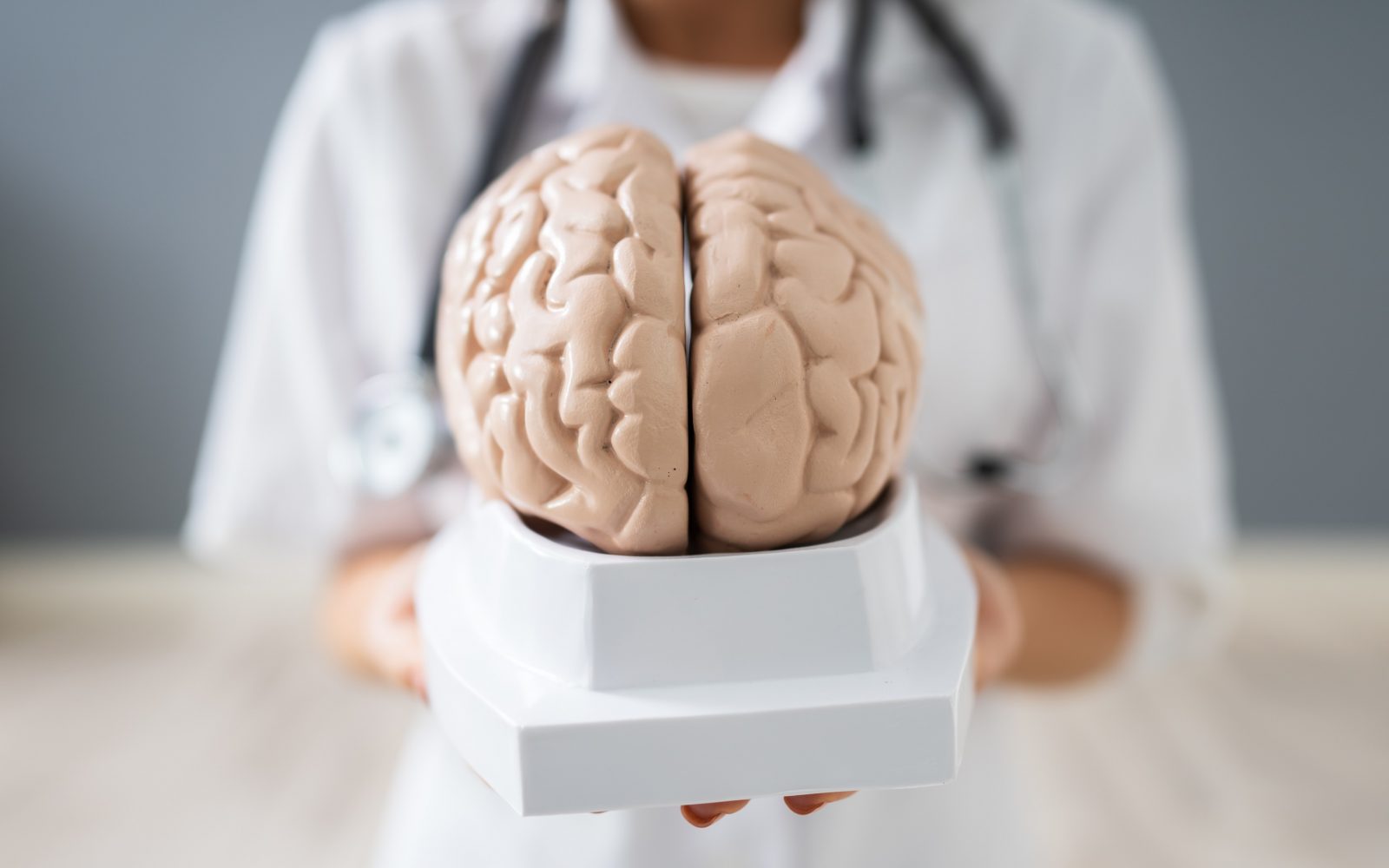Zdravnik, ki drži model človeških možganov. Bližnji posnetek zdravnikove roke, ki drži model človeških možganov