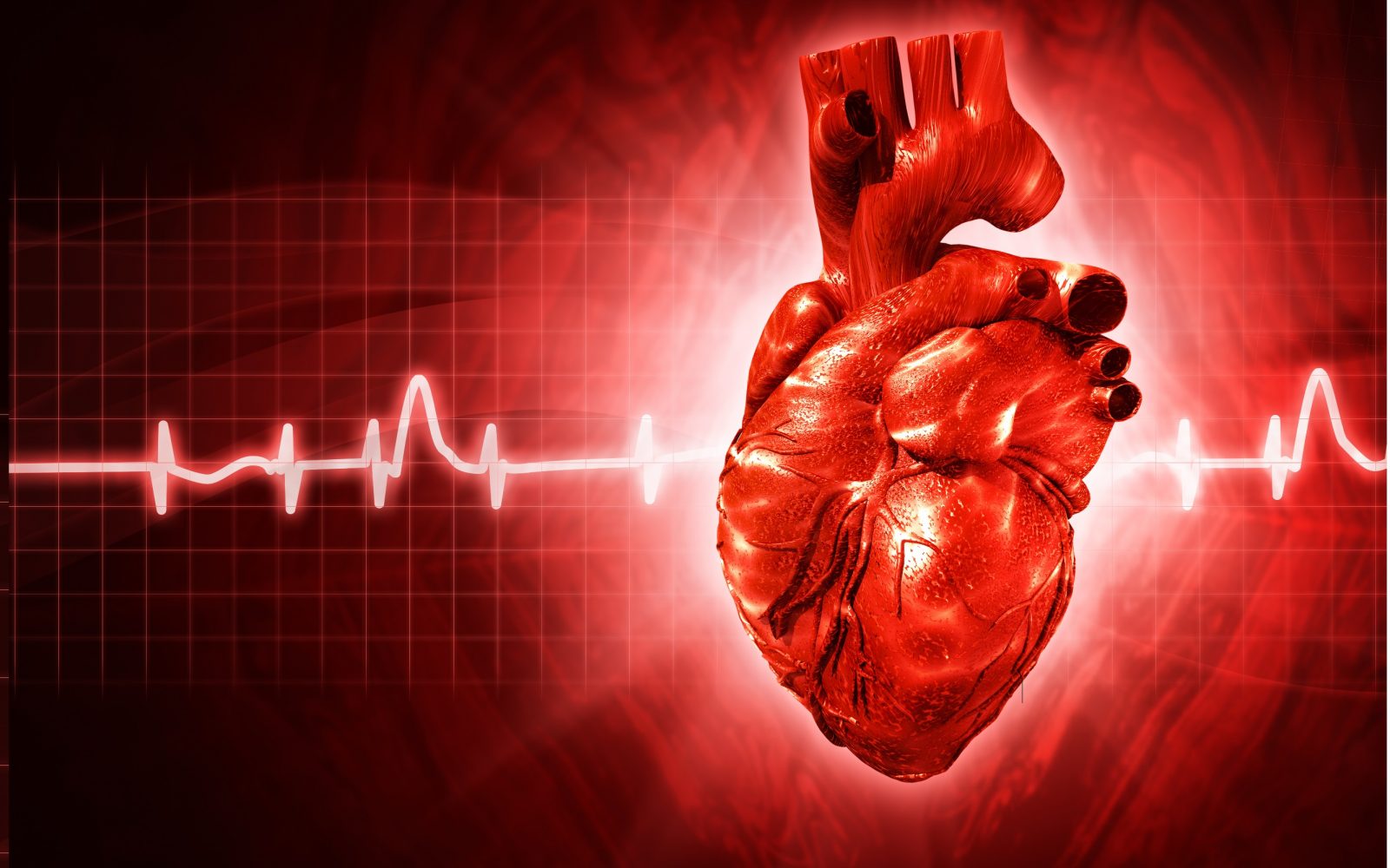 srce, kardiologija