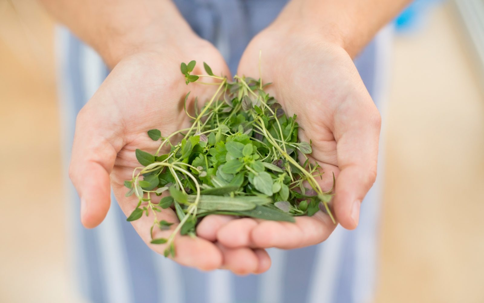 Do odličnega imunskega sistema s pomočjo divjih rastlin, zelišč in drugih »plevelov«