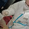 Veterinarji shranjujejo vzorce ptičje gripe
