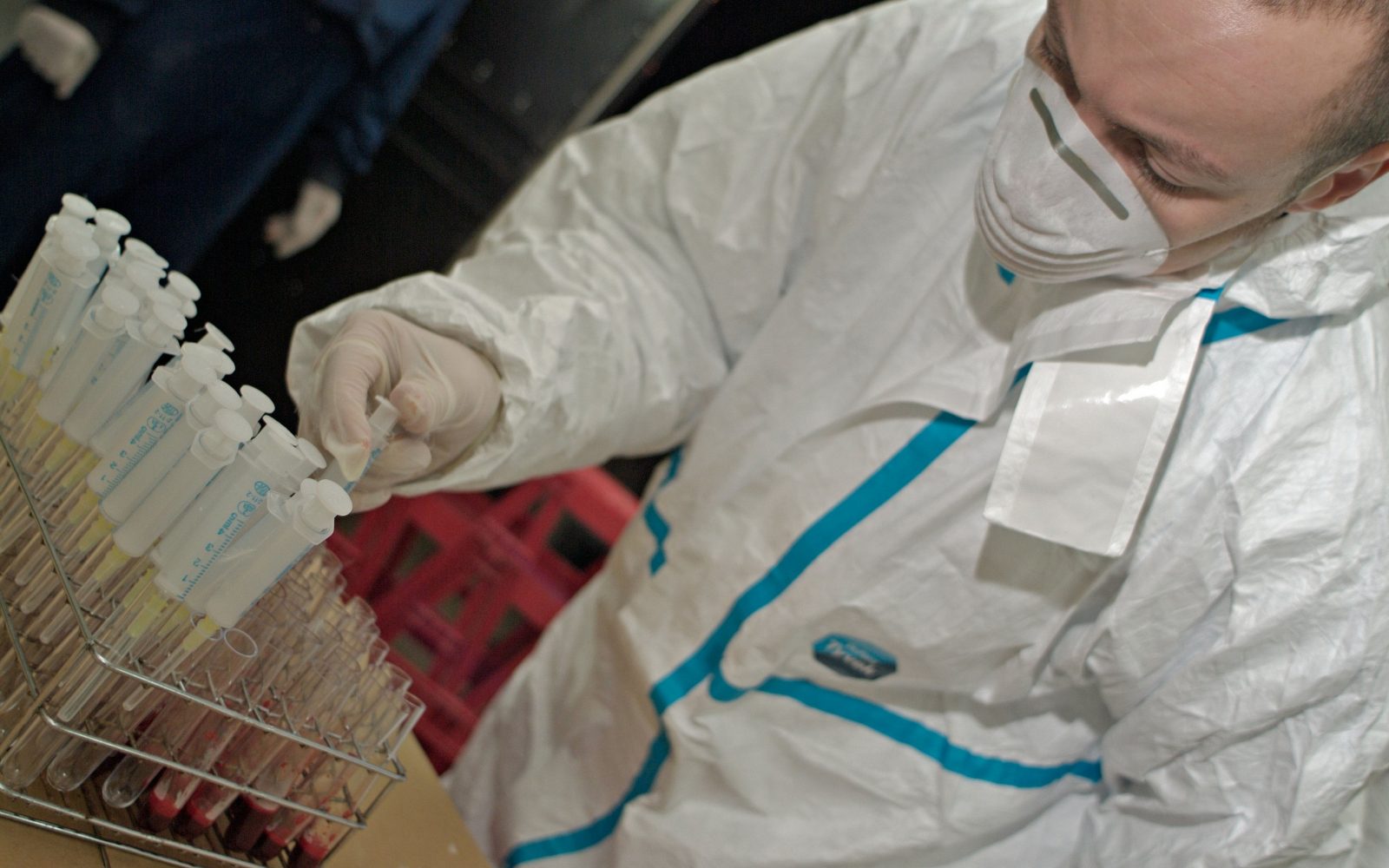 Veterinarji shranjujejo vzorce ptičje gripe
