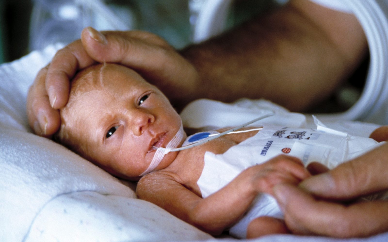 Nedonošenček v neonatalni intenzivni negi v inkubatorju, nežen dotik staršev na njegovi glavi.