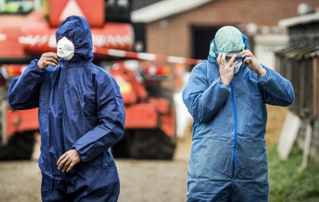 Dva moška sta v maskah in skafandrih zaradi ptičje gripe