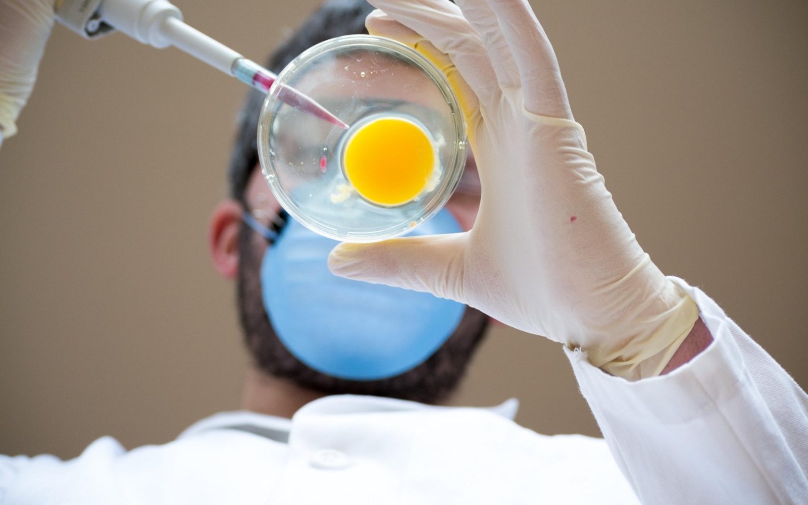 Kakšno hrano bomo jedli v prihodnosti?