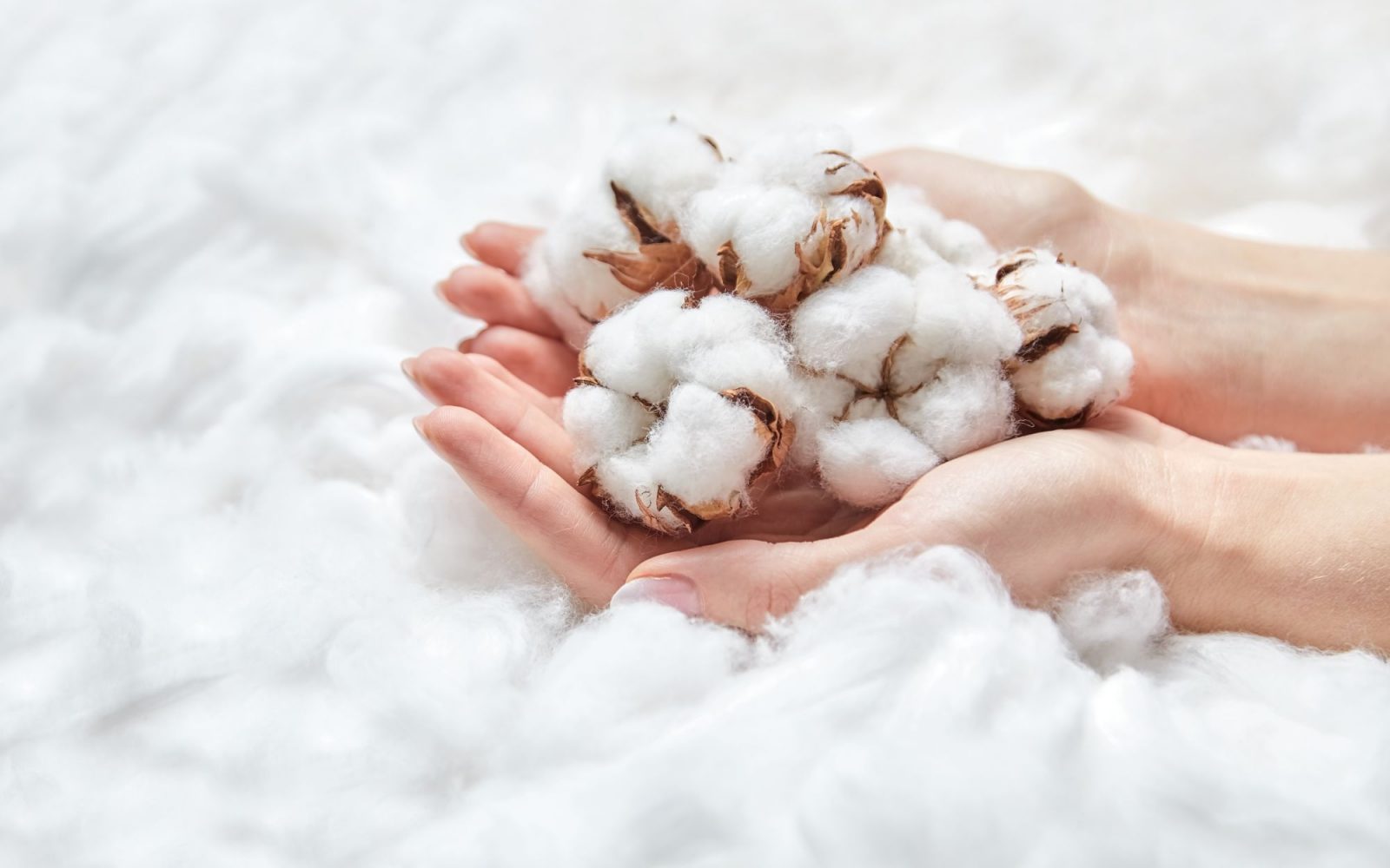 dr. Meglič, Ana Klašnja