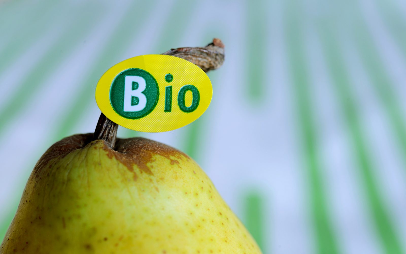 Hruška z rumeno-zeleno nalepko z napisom BIO -ali vemo, kaj pomenijo te oznake?