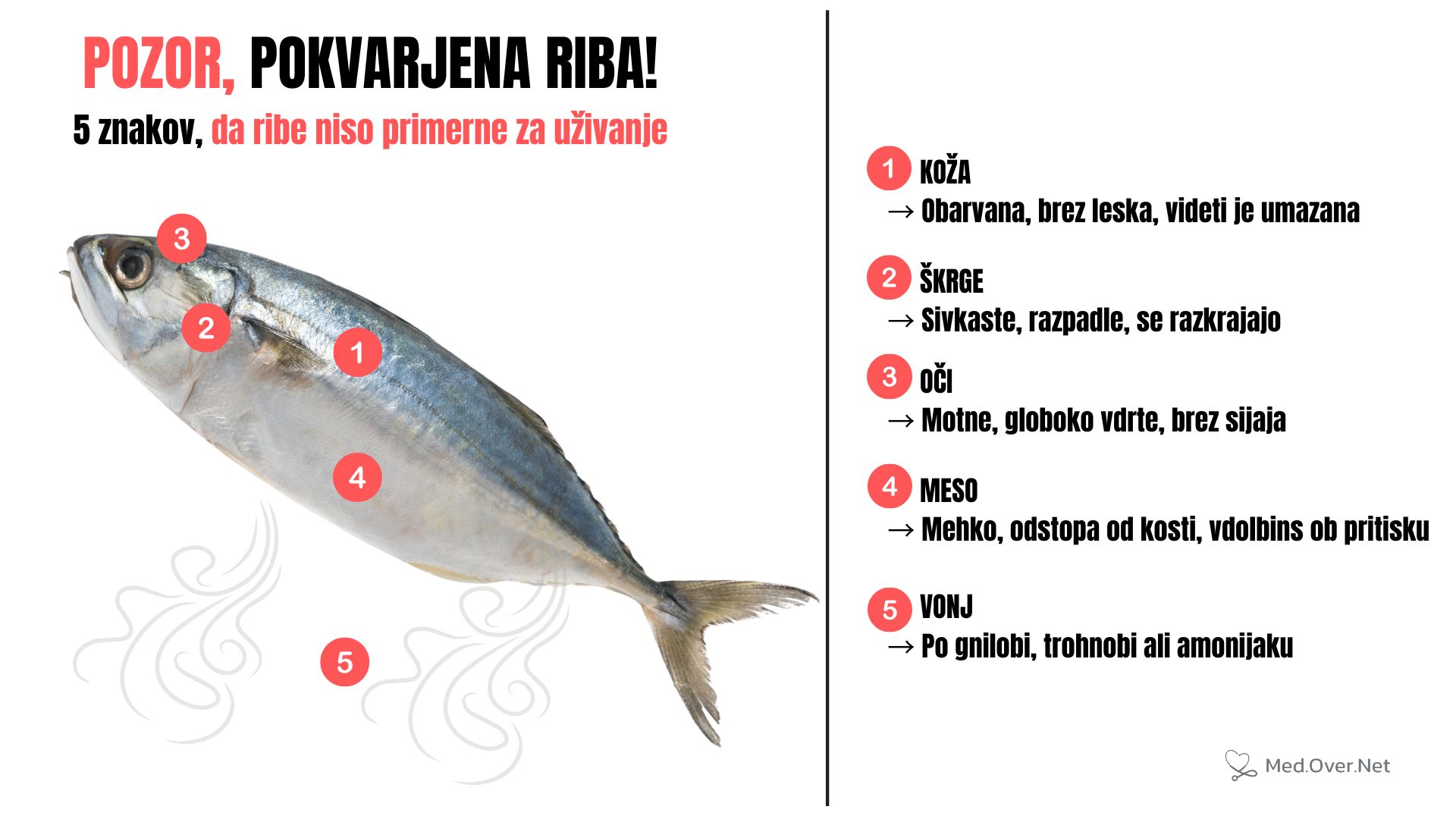 5 znakov, da je riba pokvarjena: kako prepoznati nevarne spremembe na koži, škrgah, očeh, mesu in po vonju