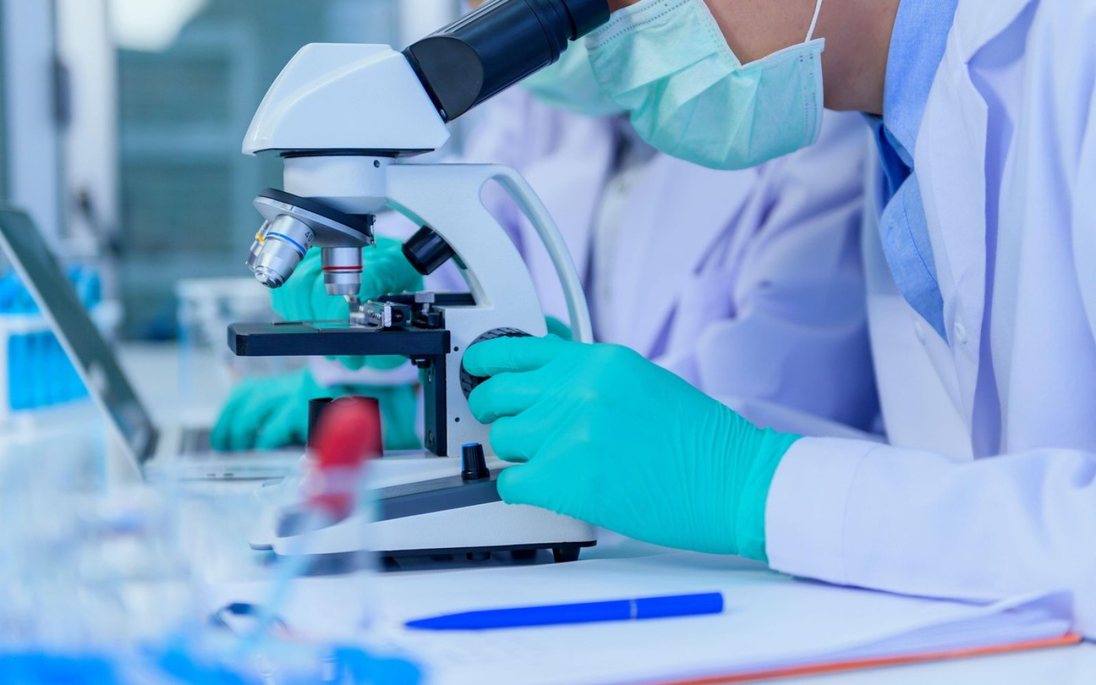 Znanstveniki v laboratoriju raziskujejo parazita New World screwworm (Cochliomyia hominivorax)