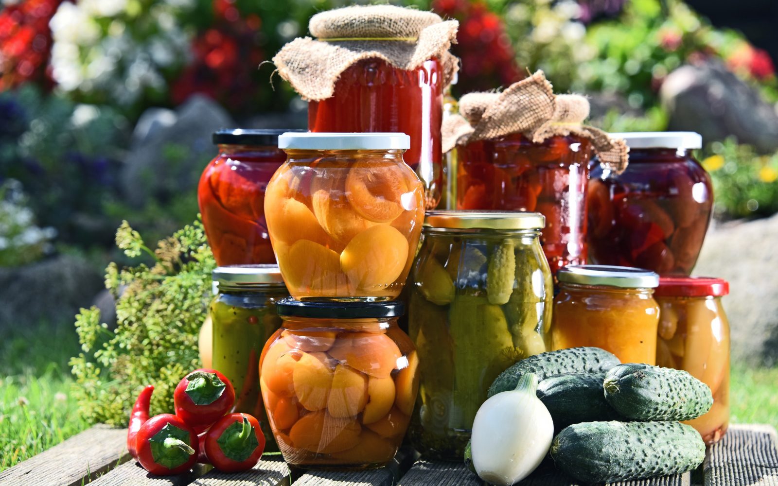 Kozarci vloženega sadja in zelenjave na vrtu - kumarice, marelice, paprika, jajčevci, gobice, čebula...