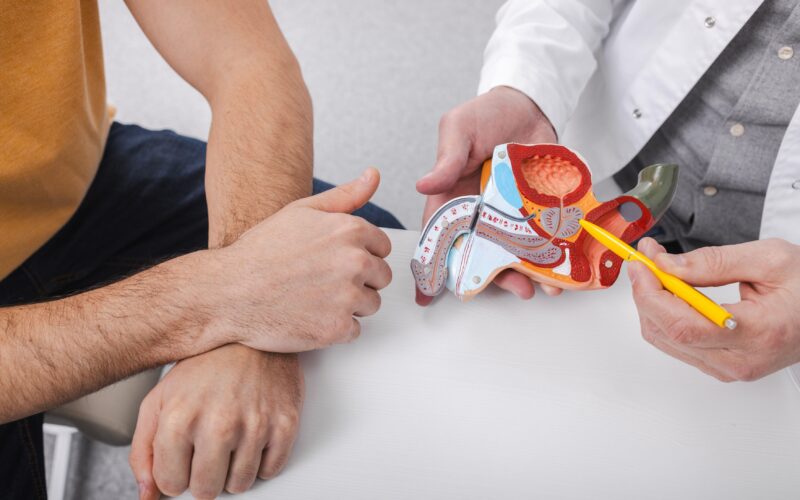 Zdravnik kaže bolniku, kje je prostata