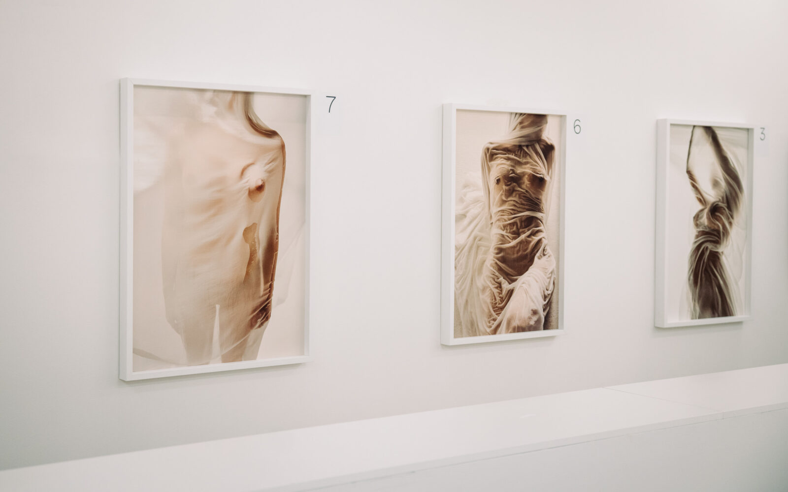 Zgodba številka 11 – moč, ranljivost in lepota žensk skozi umetnost