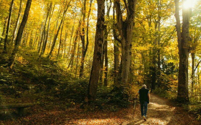 Toliko korakov na dan upočasni Alzheimerjevo bolezen