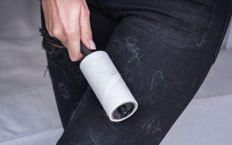 “Od doma grem čista, v službo pridem kosmata” – zakaj se vse lepi na obleke?