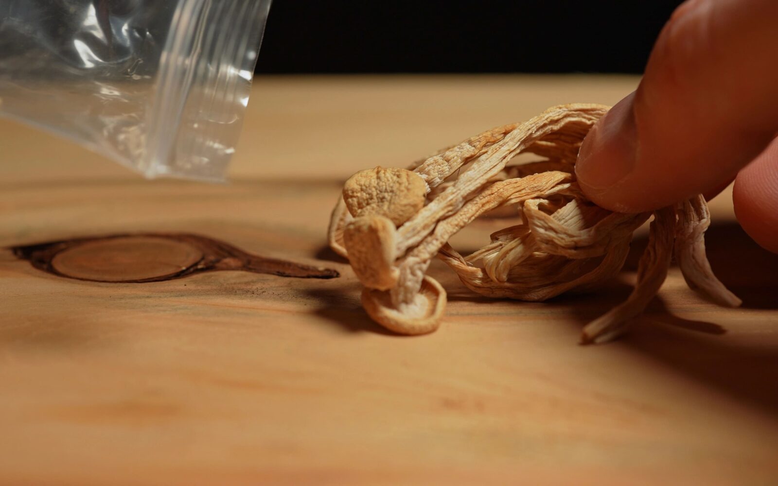 Posušene psihedelične gobe na leseni površini kot simbol samostojne uporabe psihedelikov brez psihoterapevtskega okvira