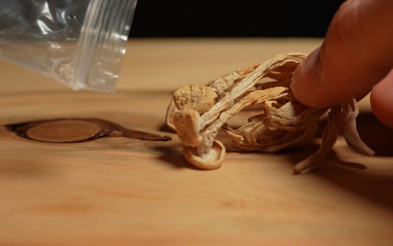 Posušene psihedelične gobe na leseni površini kot simbol samostojne uporabe psihedelikov brez psihoterapevtskega okvira