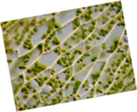 4AB59EE8-56DF-11E1-A3E6-199C65B94067