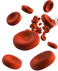 66CB7116-56DF-11E1-86AB-199C65B94067