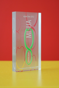 43C45592-6F4F-11E1-B65B-D43D65B94067