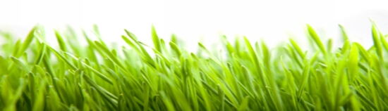 E43AF322-56E1-11E1-872D-199C65B94067