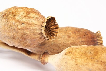 922D3D36-3BA9-11E1-9DA4-898366B94067